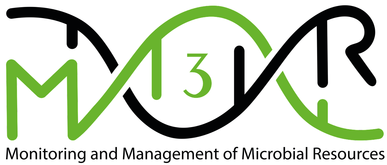 Logo m3r